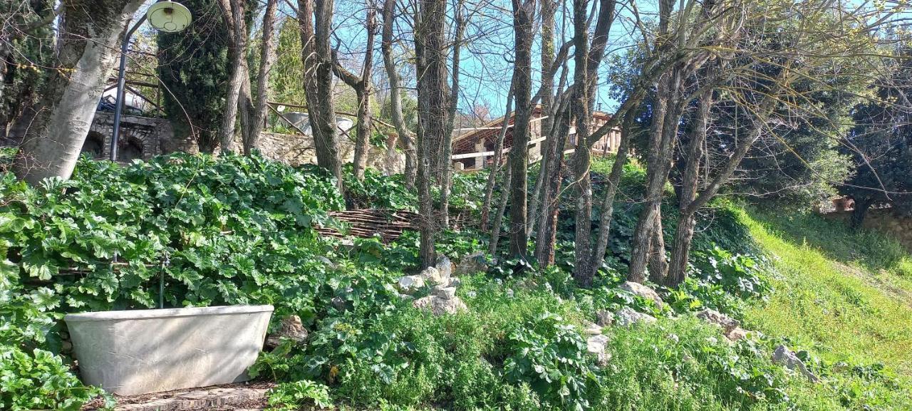 Domus Antiqua Bed & Breakfast Спело Екстериор снимка