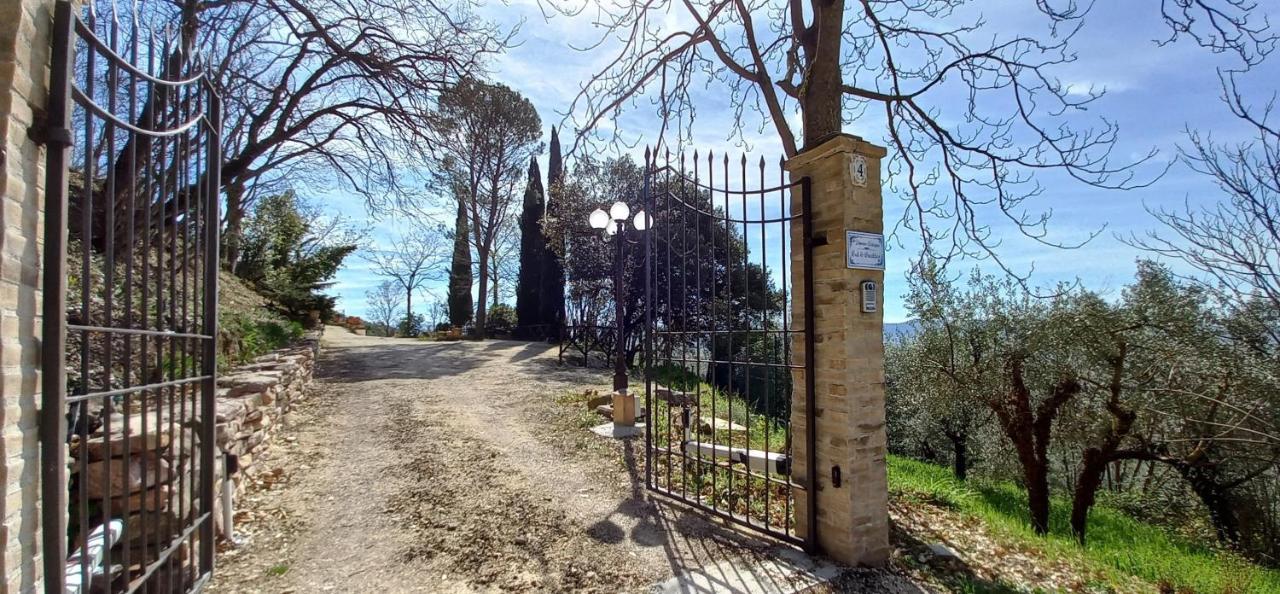 Domus Antiqua Bed & Breakfast Спело Екстериор снимка