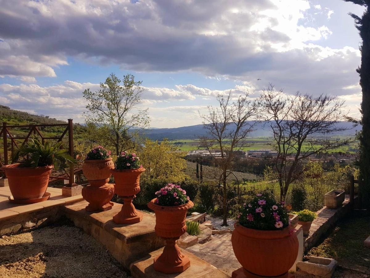Domus Antiqua Bed & Breakfast Спело Екстериор снимка