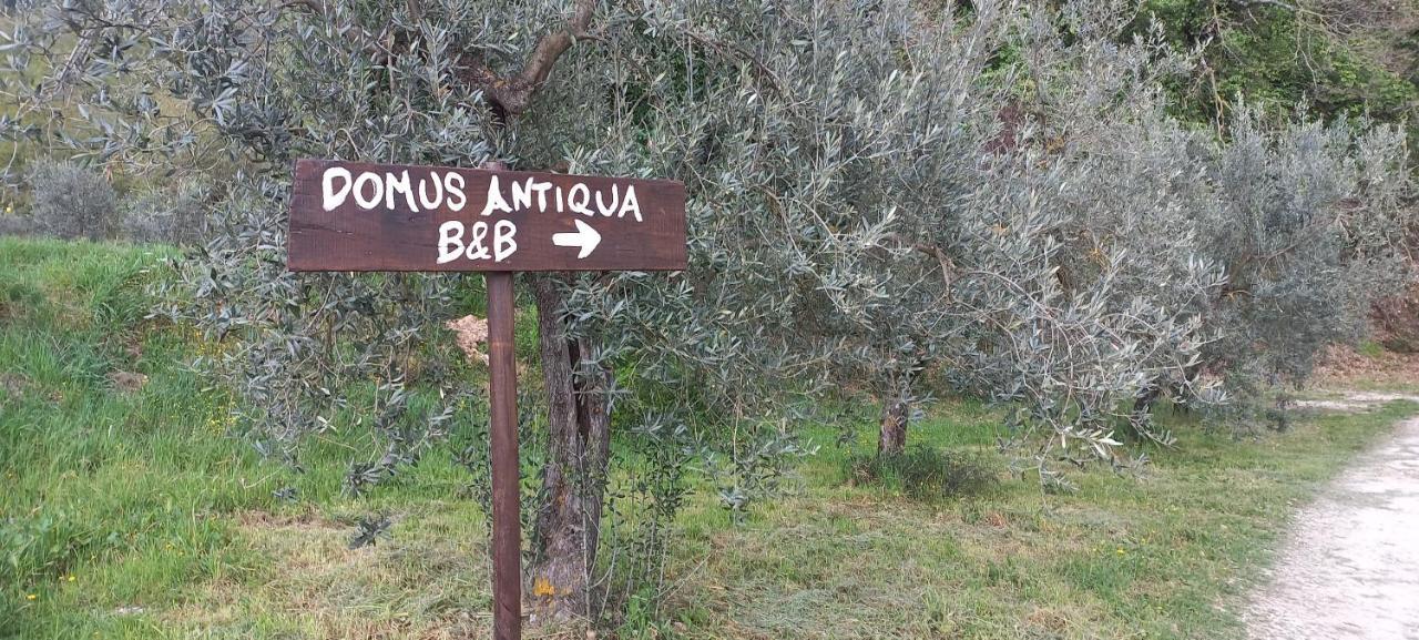 Domus Antiqua Bed & Breakfast Спело Екстериор снимка