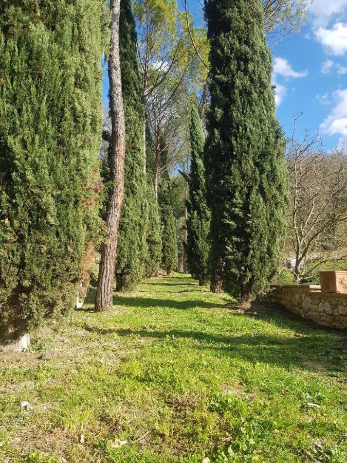 Domus Antiqua Bed & Breakfast Спело Екстериор снимка